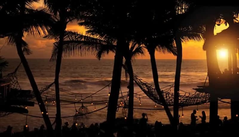 1 (7) (1).webp