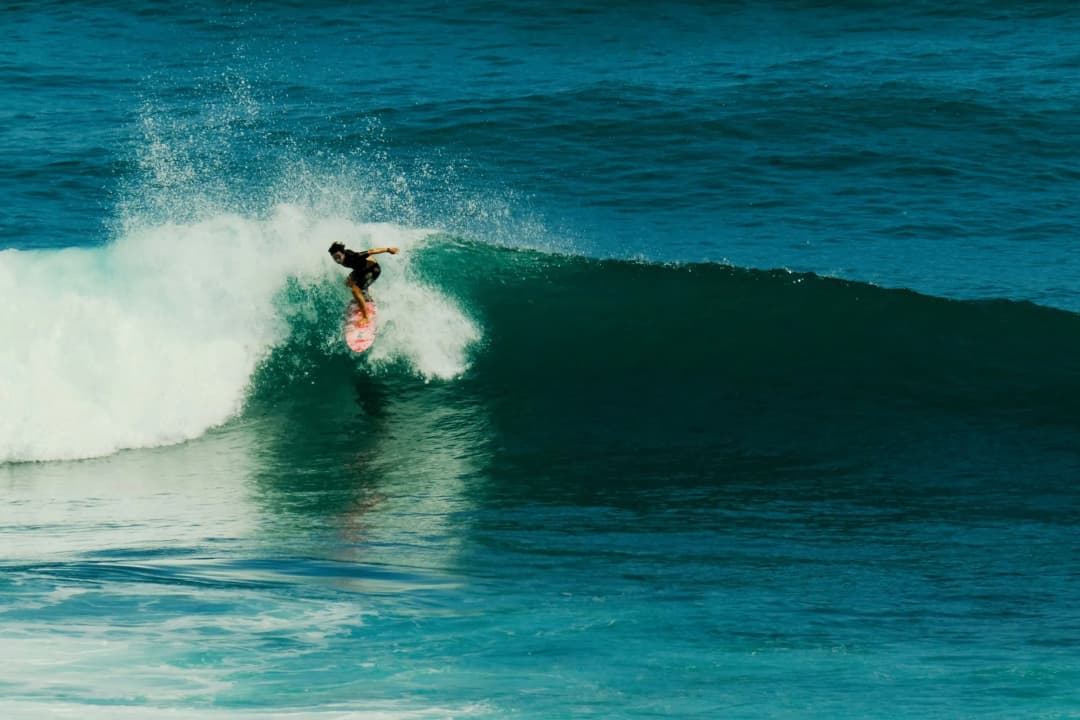 8 - Surf.webp